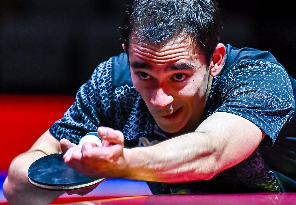 公牛增强锋 公牛增强锋