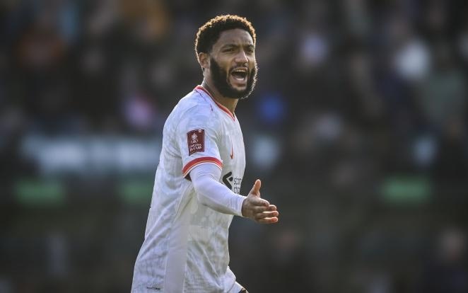 控了主动 控了主动