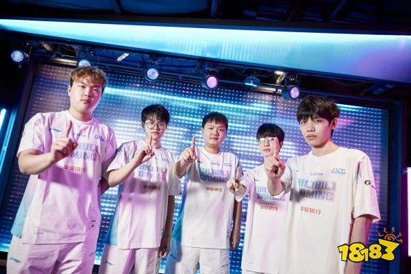 年的年轻球 年的年轻球