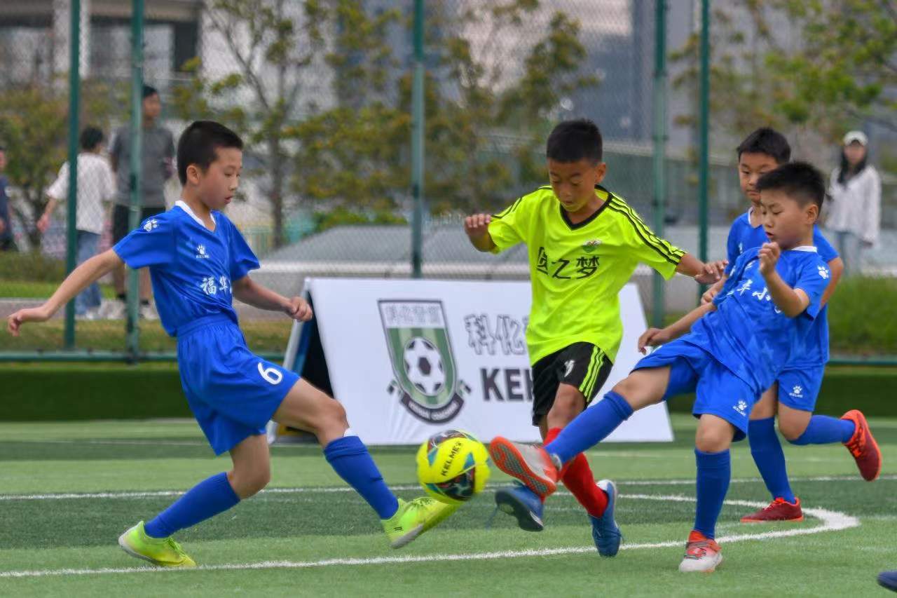 社会的不和 社会的不和